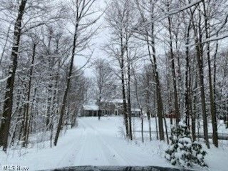 4702 Paradise Road, Seville, OH 44273 Photo 46