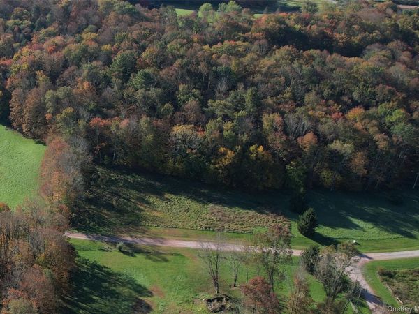 Lot 10 Timber Drive Road , Cochecton, NY 12726