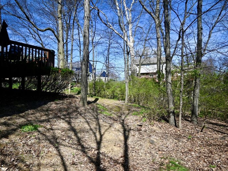 1132 Kurtzinger Court, Union, KY 41091 Photo 11