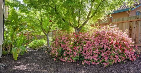 104 Whelan Ct, Folsom, CA 95630 Photo