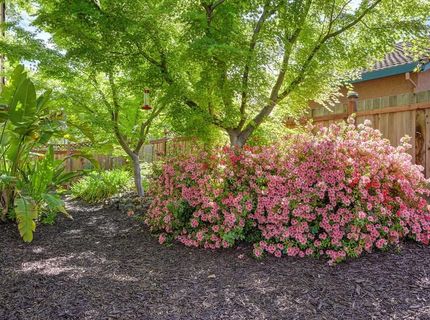 104 Whelan Ct, Folsom, CA 95630 Photo