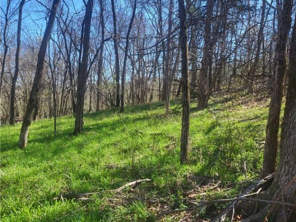 Lots 6,7,8 Frisco-Grand , Eureka Springs, AR 72632