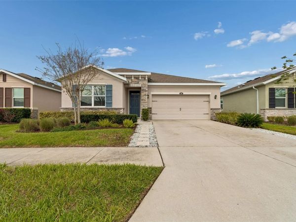 1135 PIPESTONE PLACE , WESLEY CHAPEL, FL 33543