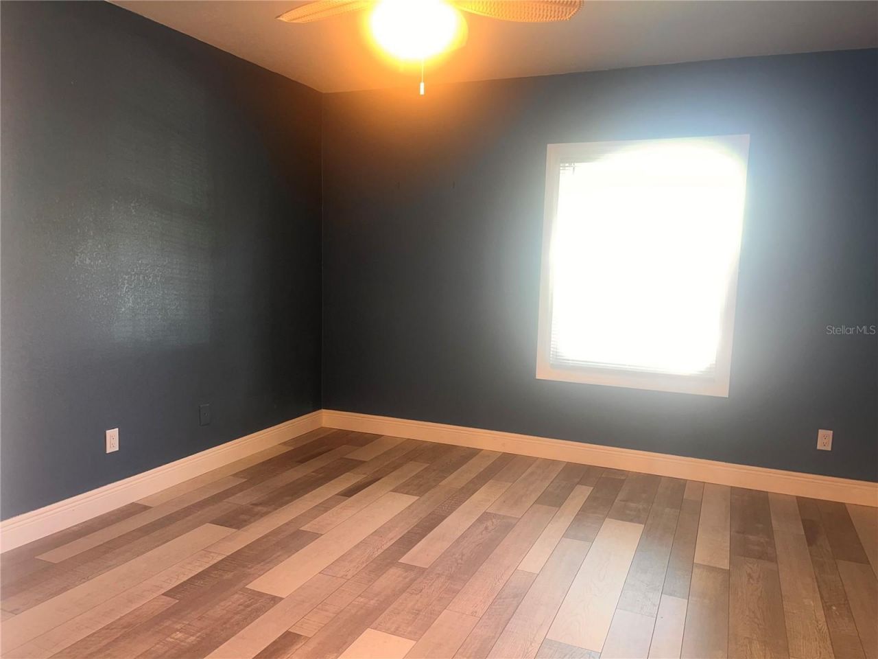 5075 Starfish Drive Se, Unit B, Saint Petersburg, FL 33705 Photo