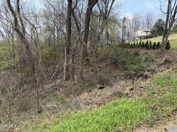 410 Crystal View Street, Kingsport, TN 37660