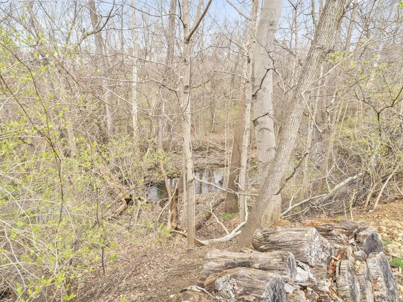 2659 Roe Drive, Lewis Center, OH 43035 Photo 47