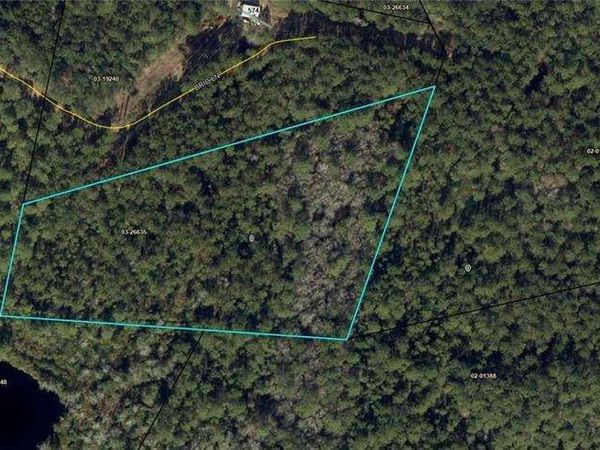 PARCEL #1 Brio Lane, Brunswick, GA 31523