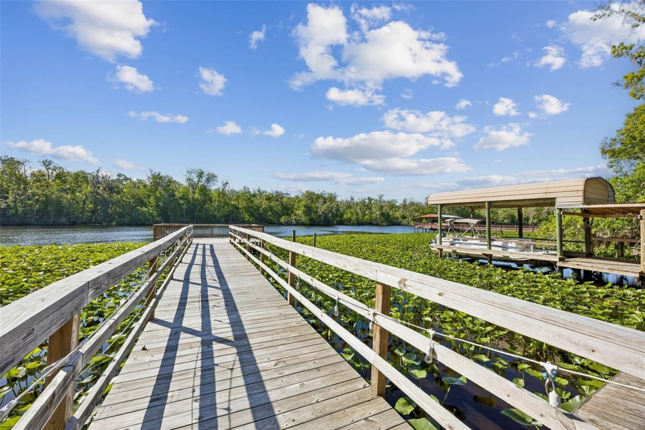 334 Paradise Circle, Satsuma, FL 32189 Photo