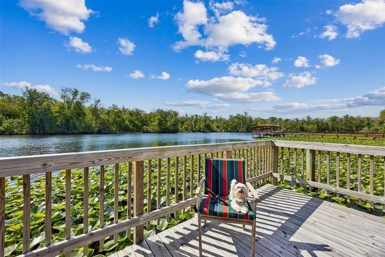 334 Paradise Circle, Satsuma, FL 32189 Photo