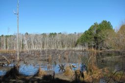 0 Cannery Rd  photo 4