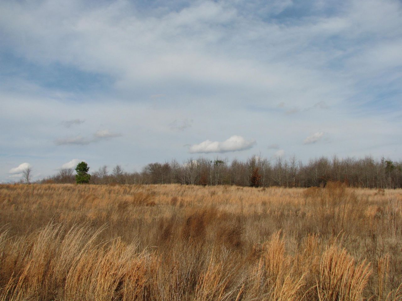 0 Cannery Rd  Photo 22