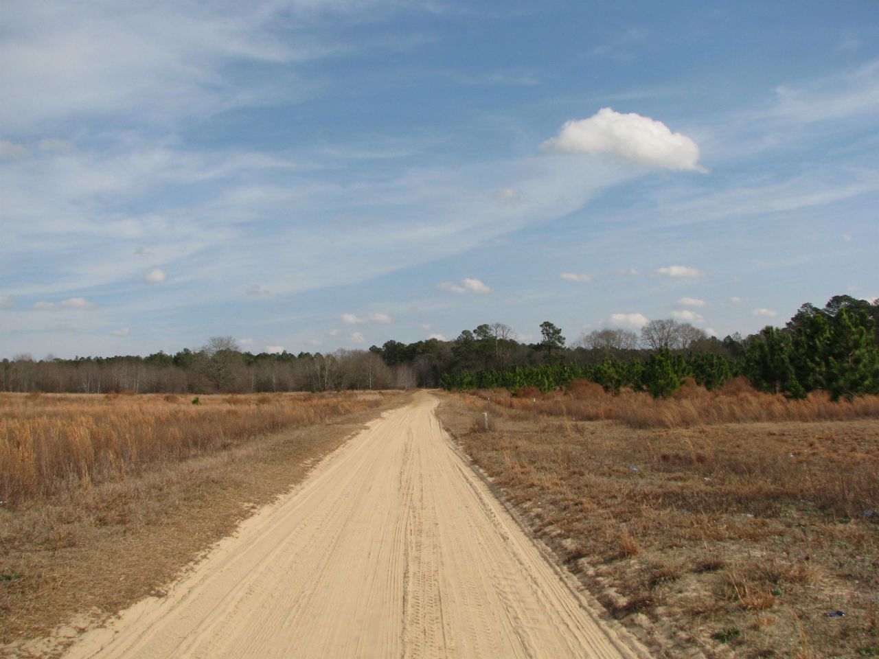 0 Cannery Rd  Photo 26