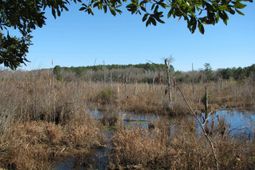 0 Cannery Rd  photo 4