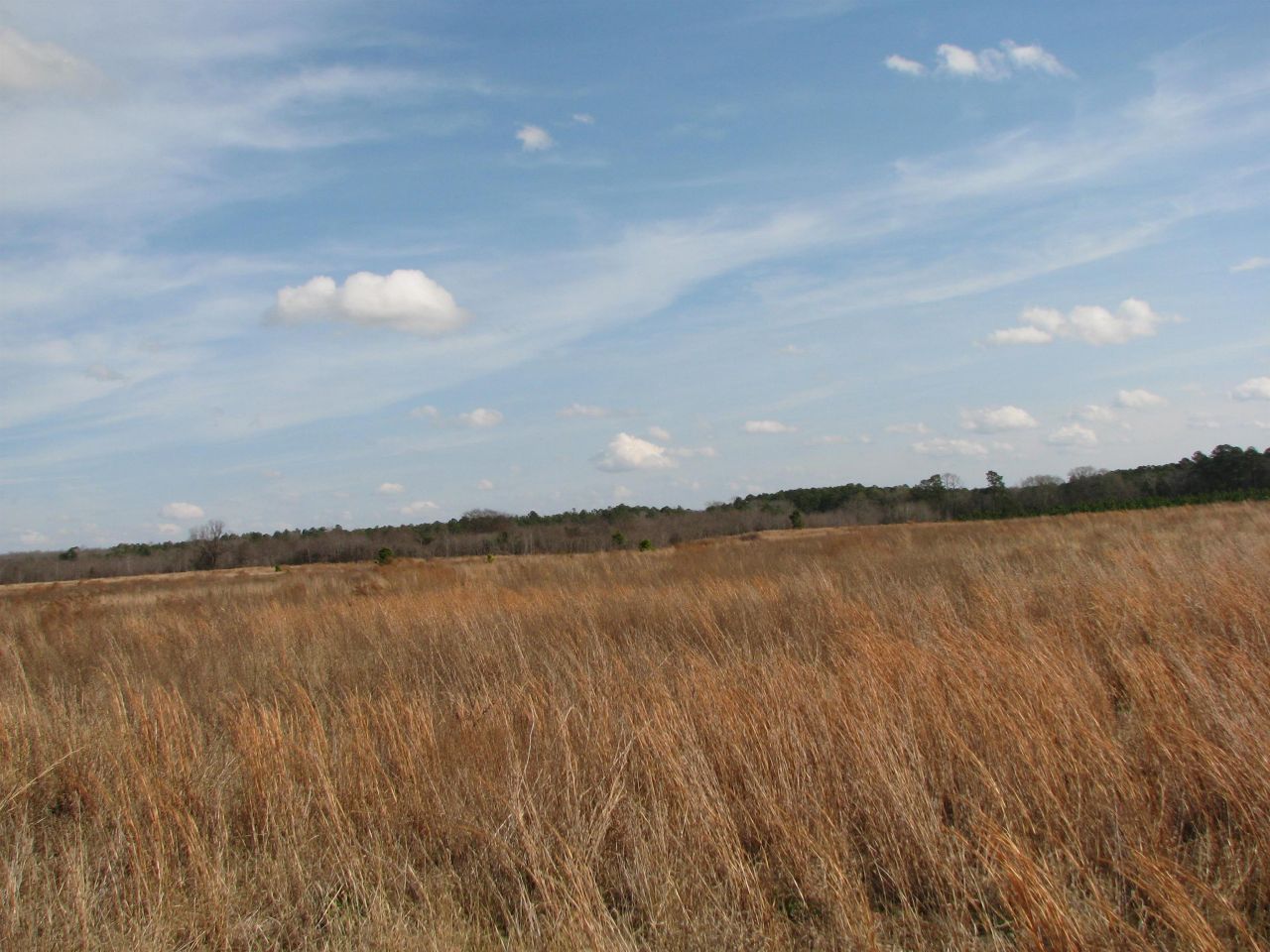 0 Cannery Rd  Photo 30