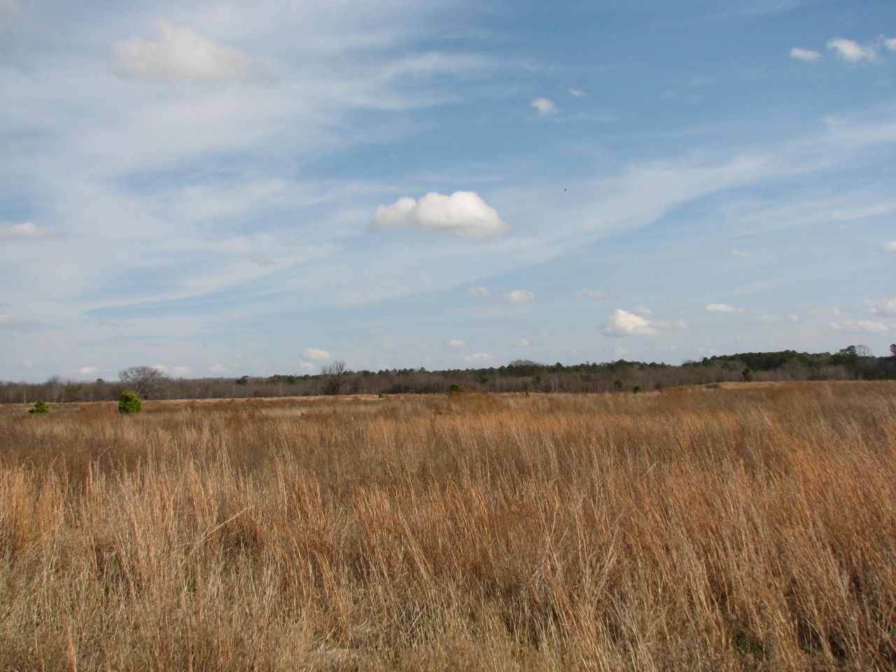 0 Cannery Rd  Photo 31