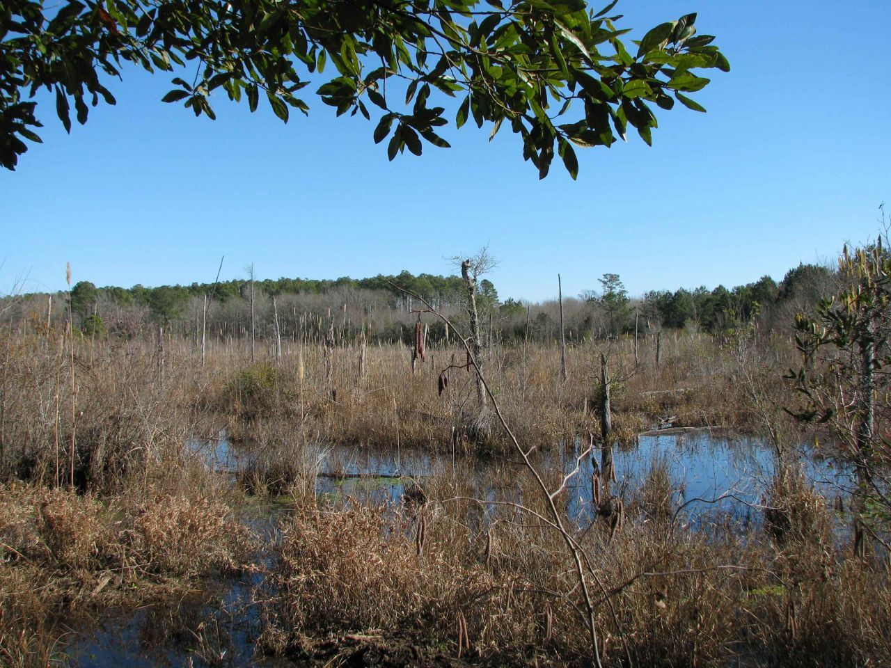 0 Cannery Rd  Photo 33