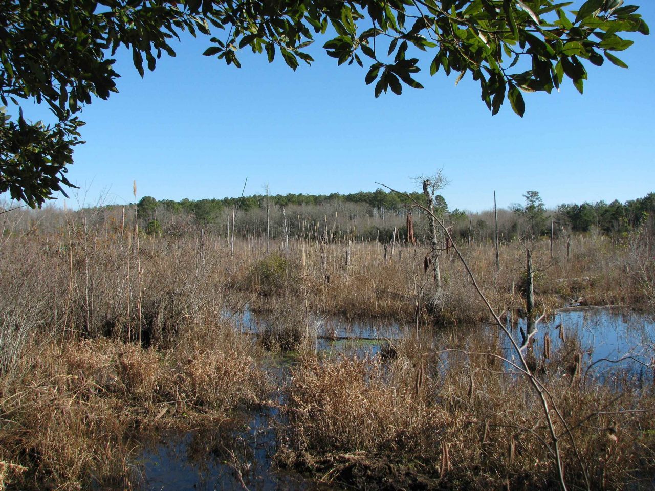 0 Cannery Rd  Photo 35