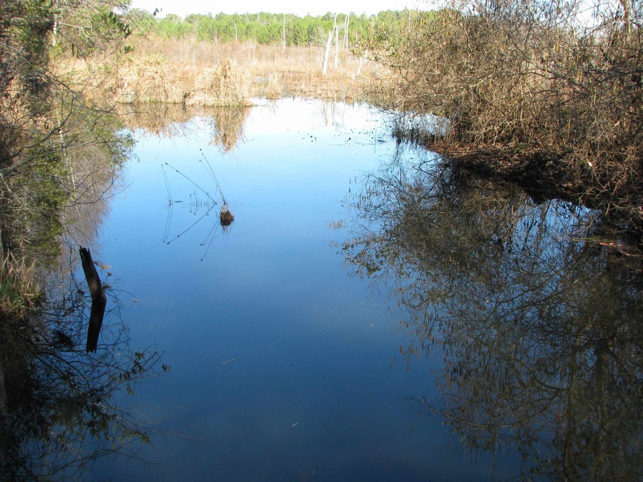 0 Cannery Rd  Photo 38