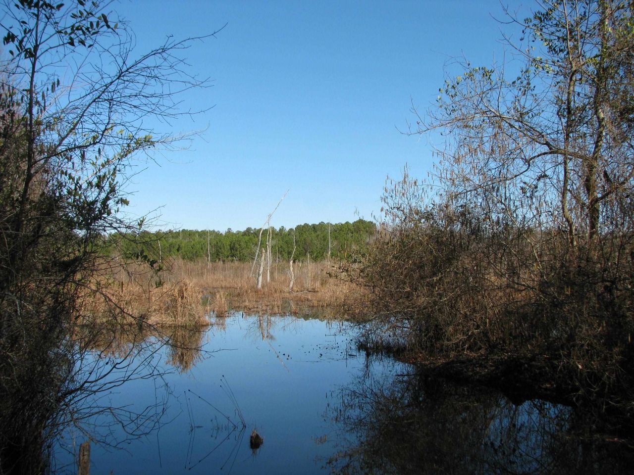 0 Cannery Rd  Photo 4