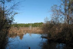 0 Cannery Rd  photo 4