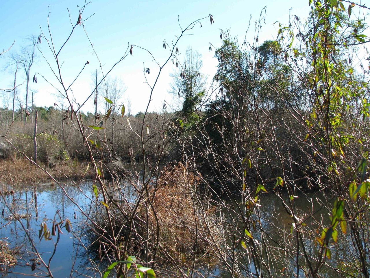 0 Cannery Rd  Photo 40