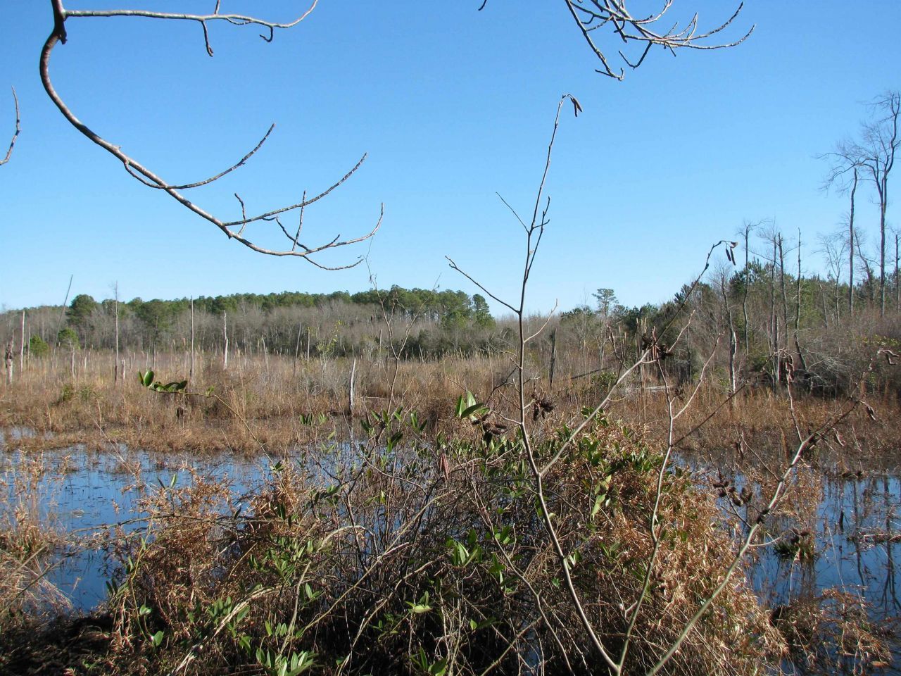 0 Cannery Rd  Photo 42