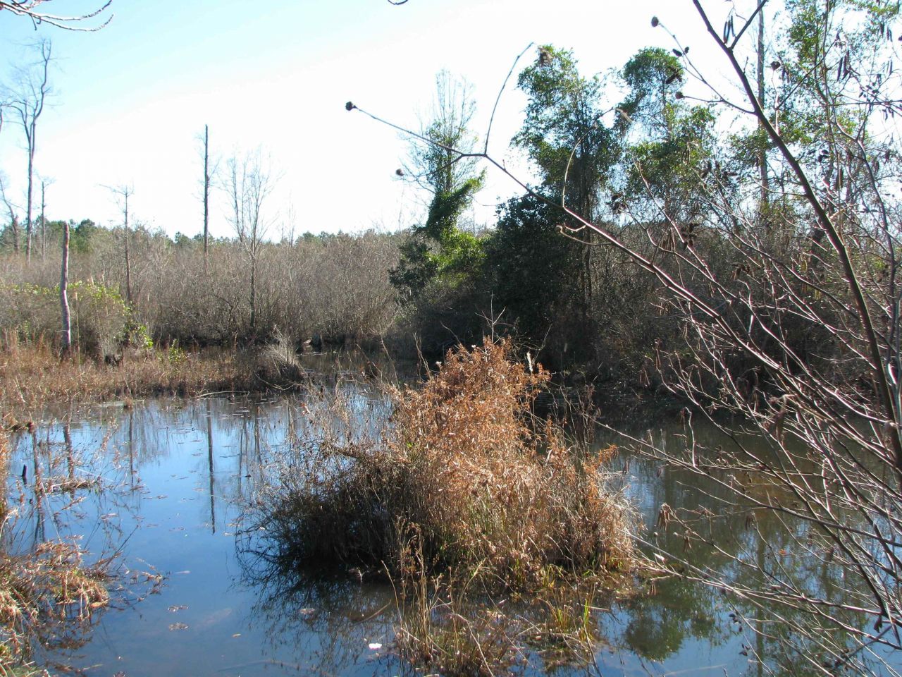 0 Cannery Rd  Photo 43