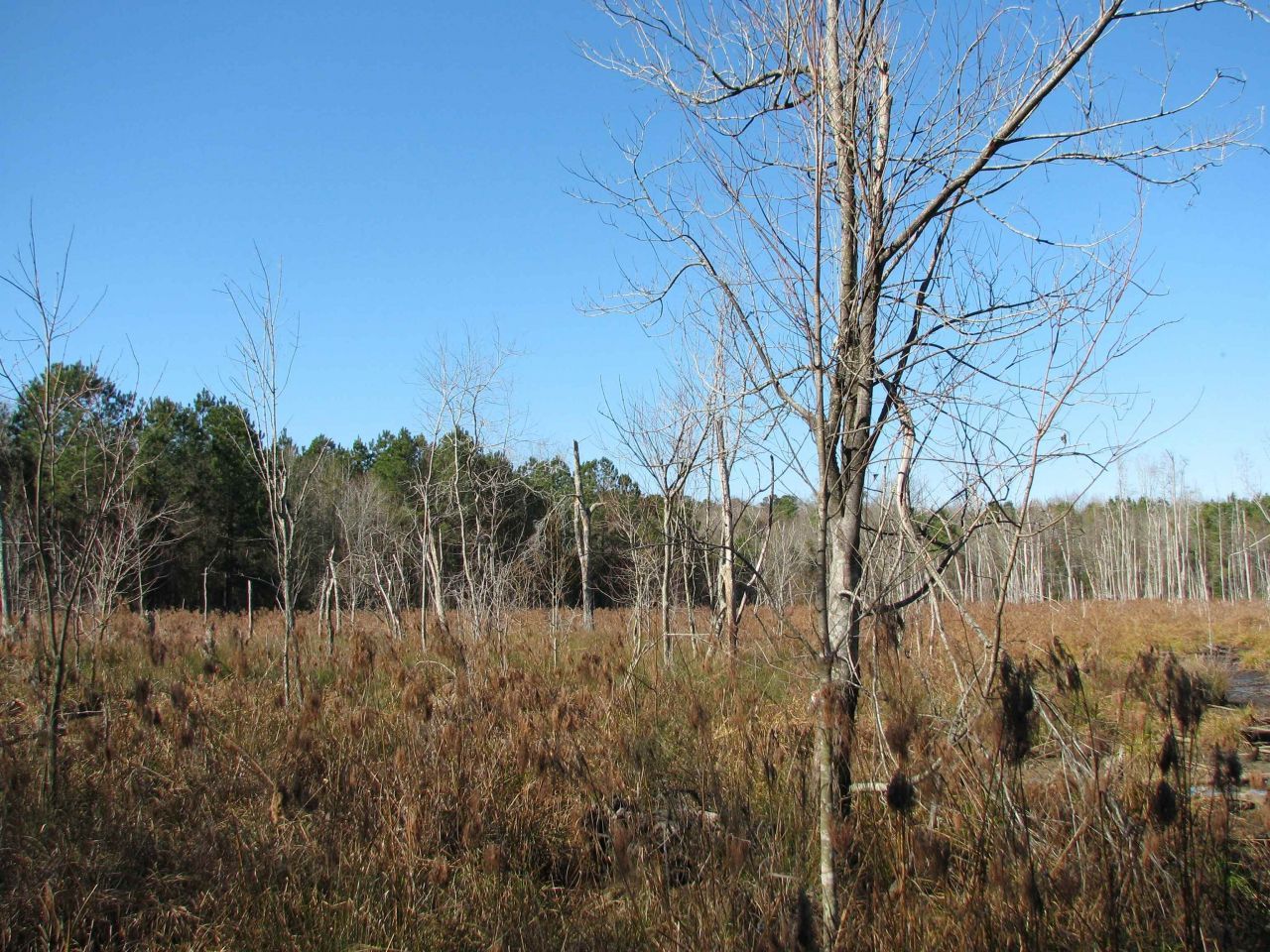 0 Cannery Rd  Photo 45