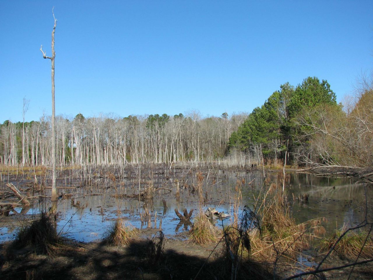 0 Cannery Rd  Photo 46