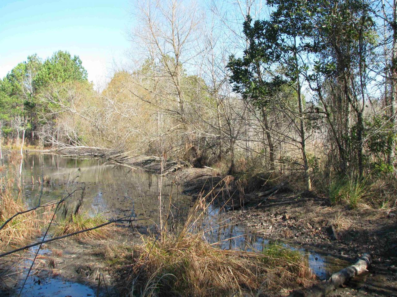 0 Cannery Rd  Photo 47