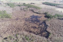 0 Cannery Rd  photo 4