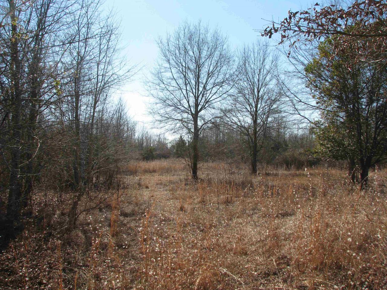 0 Cannery Rd  Photo 55