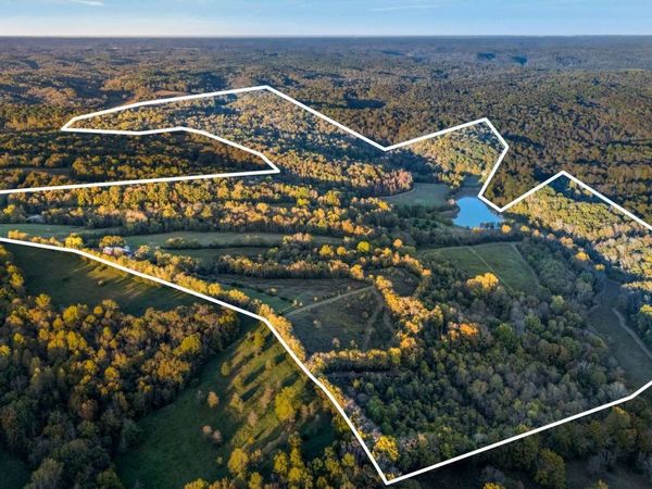 697 Johnson Branch Rd, Williamsport, TN 38487