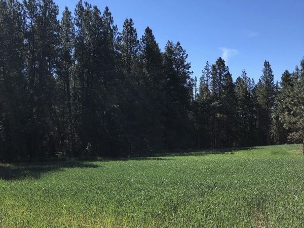 TBD Sandhill Rd, Winchester, ID 83555