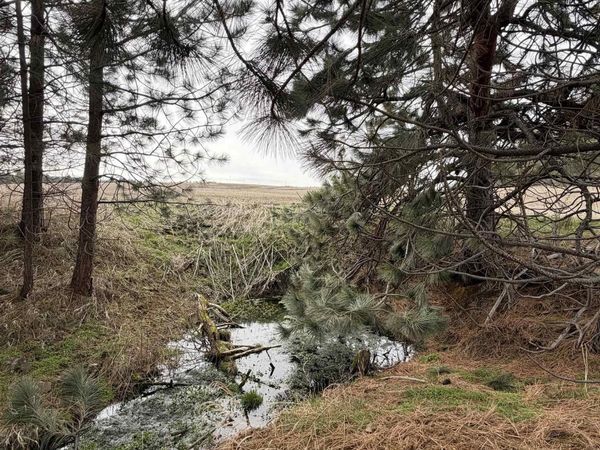 TBD Sandhill Rd, Winchester, ID 83555