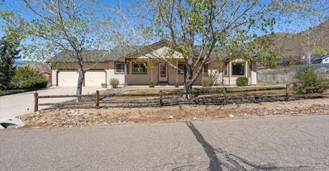 1326 S Santa Barbara Drive, Minden, NV 89423 Photo