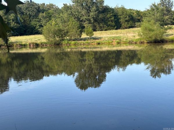 183 Lawrence 352 Road, Saffell, AR 72572