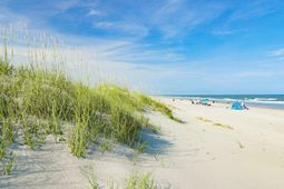 93 Blackgum Rd. photo 4