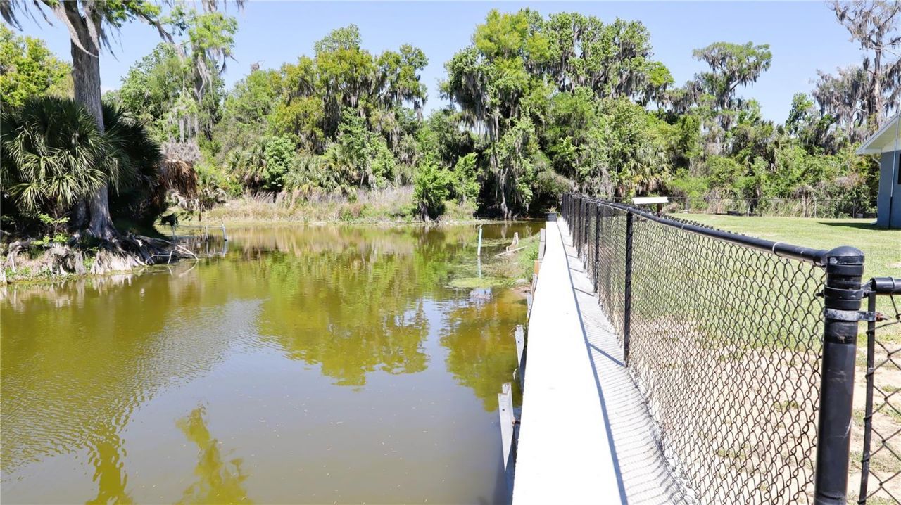 664 Cr 467 , Lake Panasoffkee, FL 33538 Photo