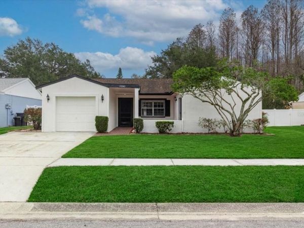 14003 BASIN STREET, TAMPA, FL 33625