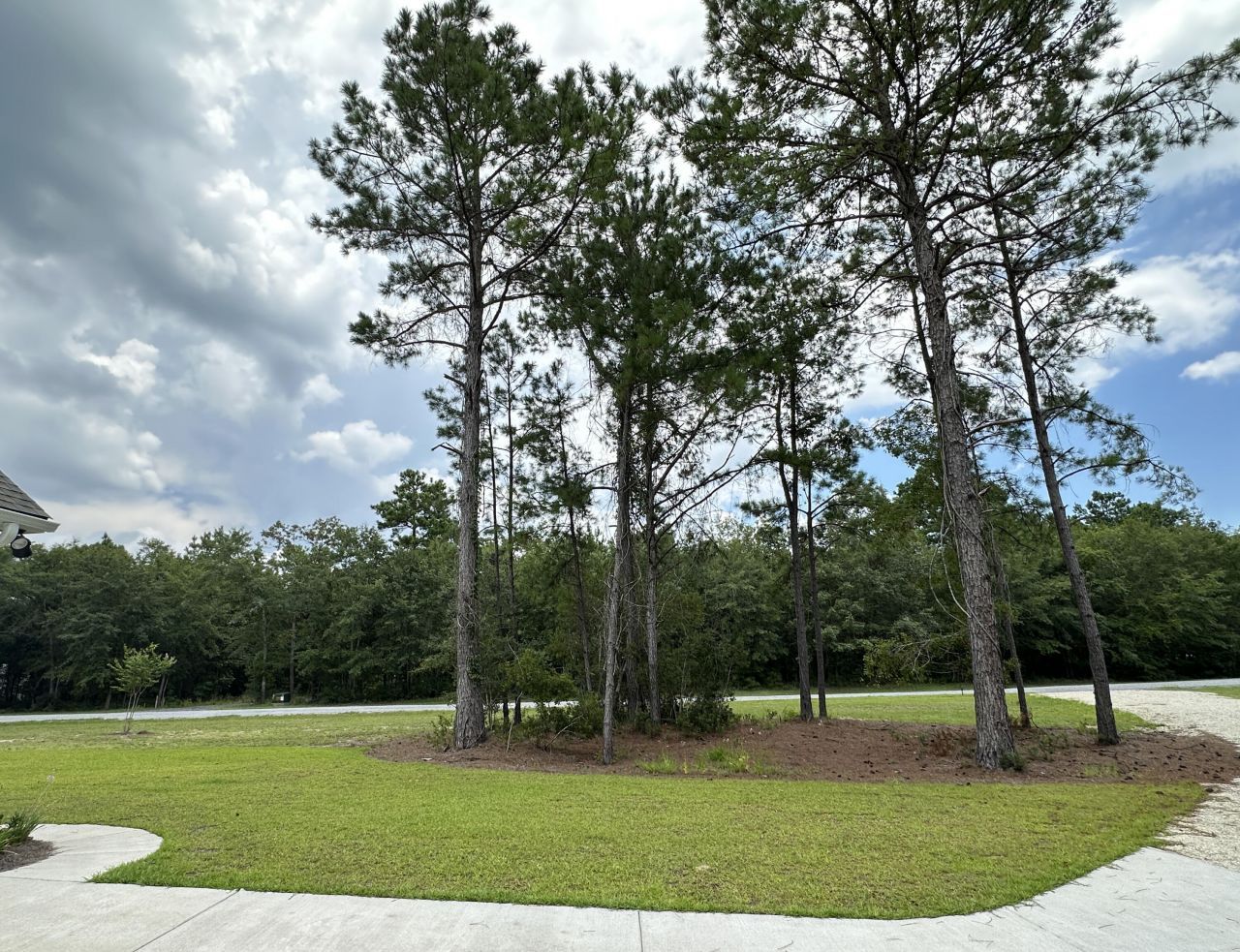 983 Awendaw Lakes Boulevard Photo 50