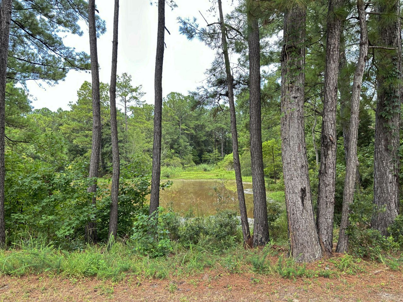 983 Awendaw Lakes Boulevard Photo 55