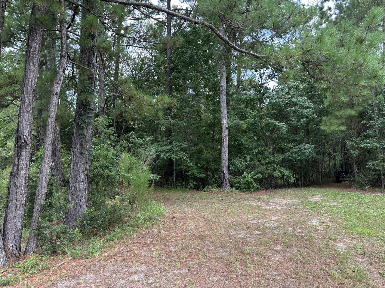 983 Awendaw Lakes Boulevard Photo 59