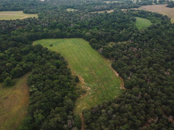 00 St Delight RD, Paige, TX 78659