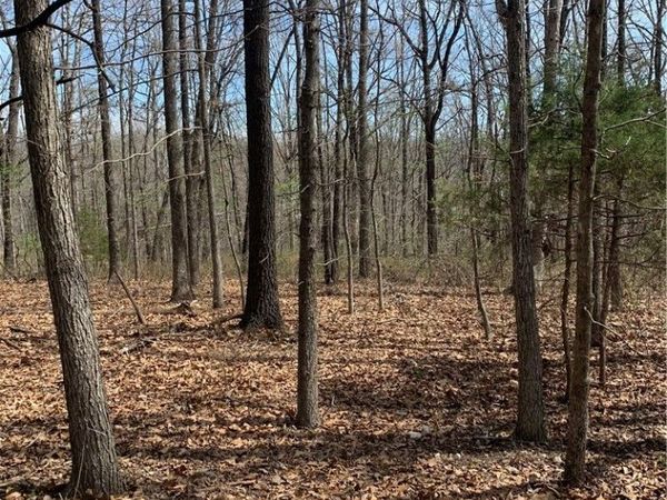 (Lot 2&3) Barr Circle, Bella Vista, AR 72715