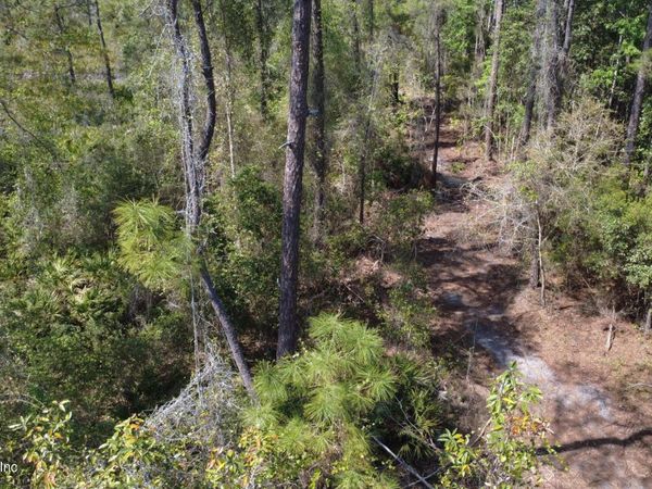 113 SEMINOLE Place, Satsuma, FL 32189