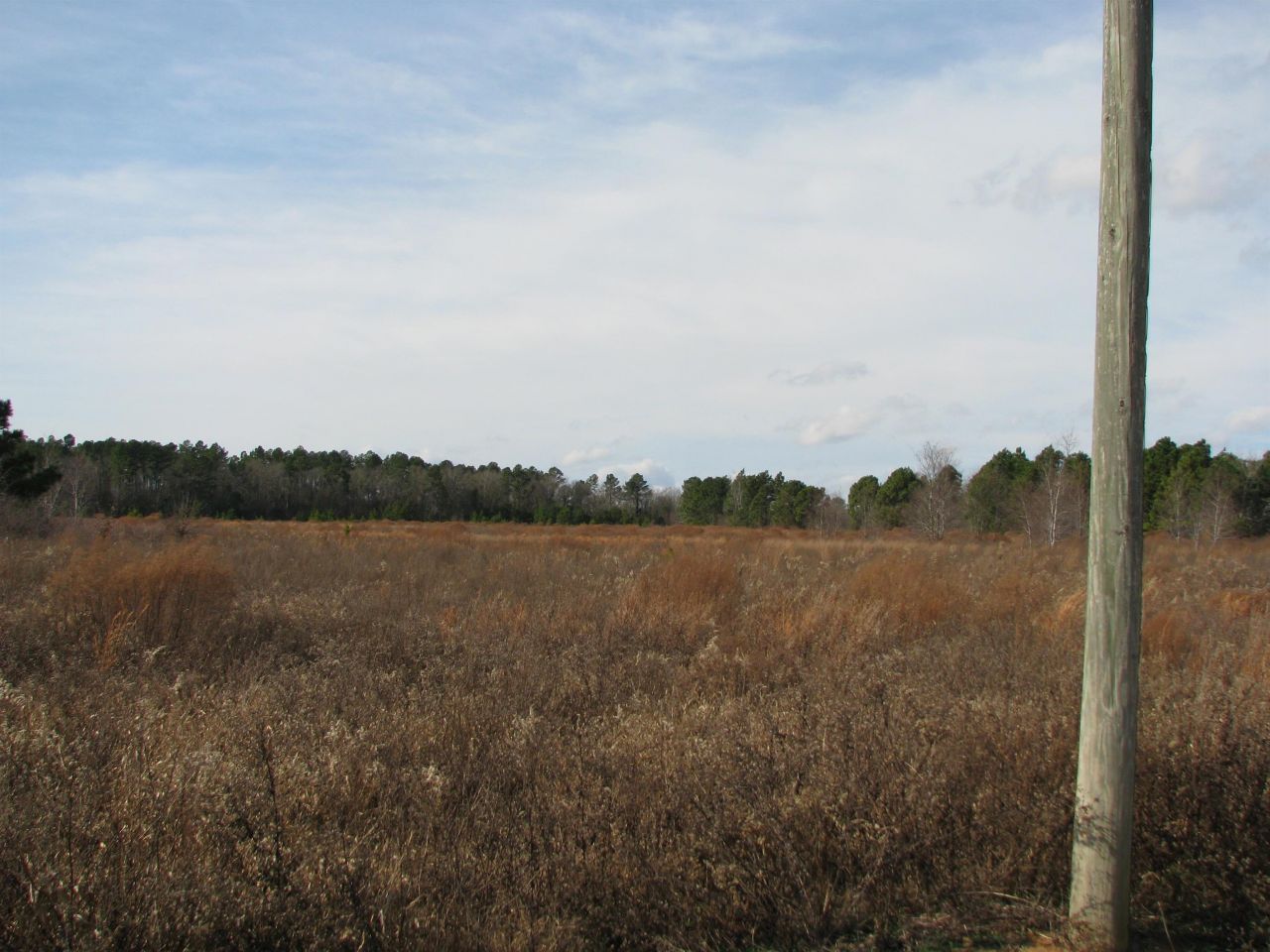 0 Cannery Rd  Photo 10