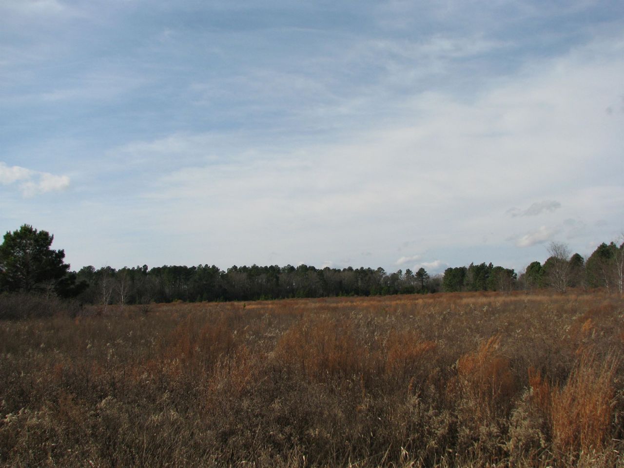 0 Cannery Rd  Photo 11