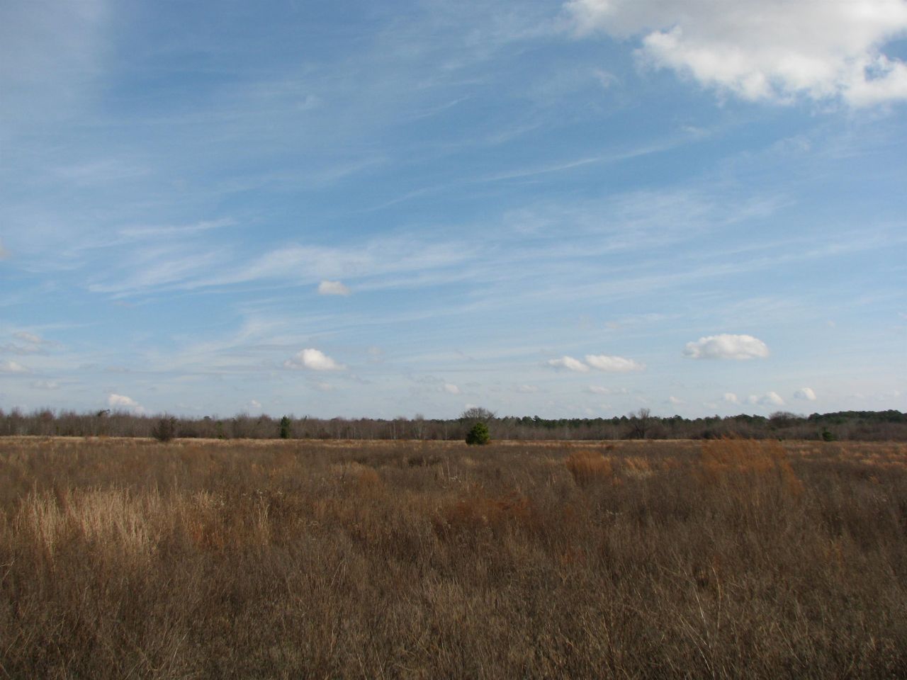 0 Cannery Rd  Photo 12