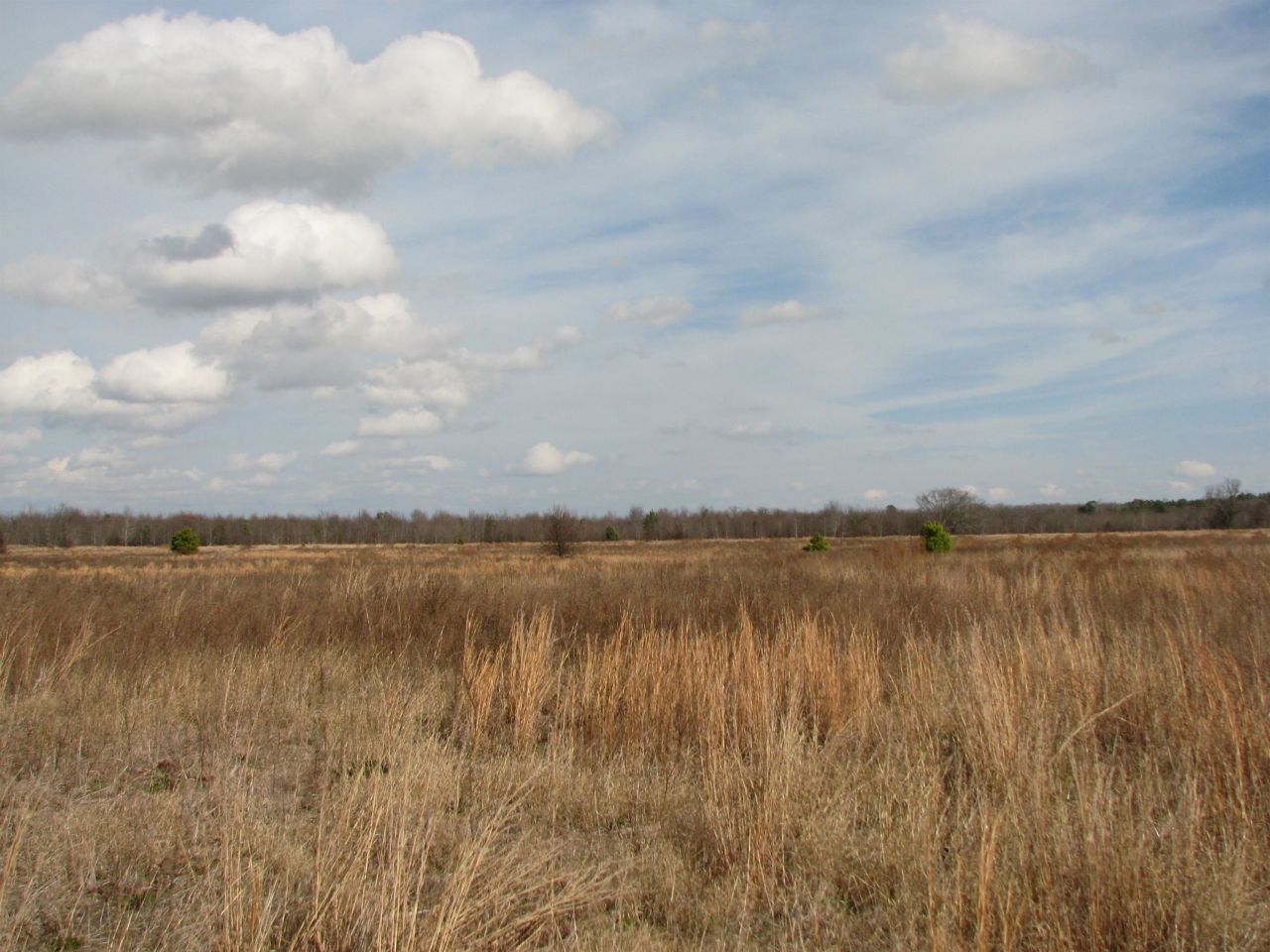 0 Cannery Rd  Photo 24